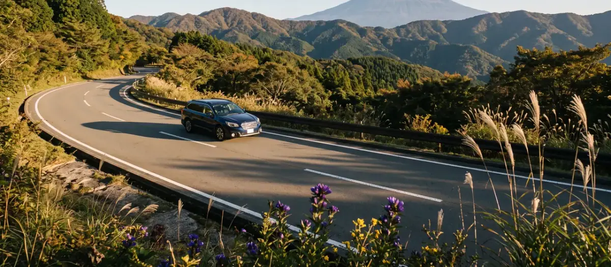 Driving in Japan