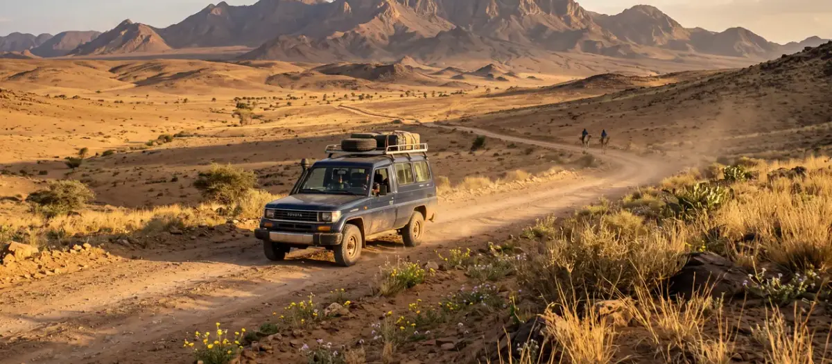 Driving in Niger