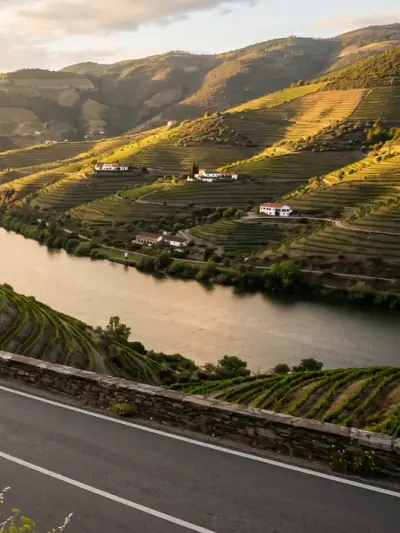 Driving in Portugal